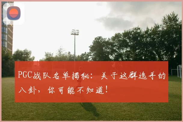 PGC战队名单揭秘:关于这群选手的八卦,你可能不知道!
