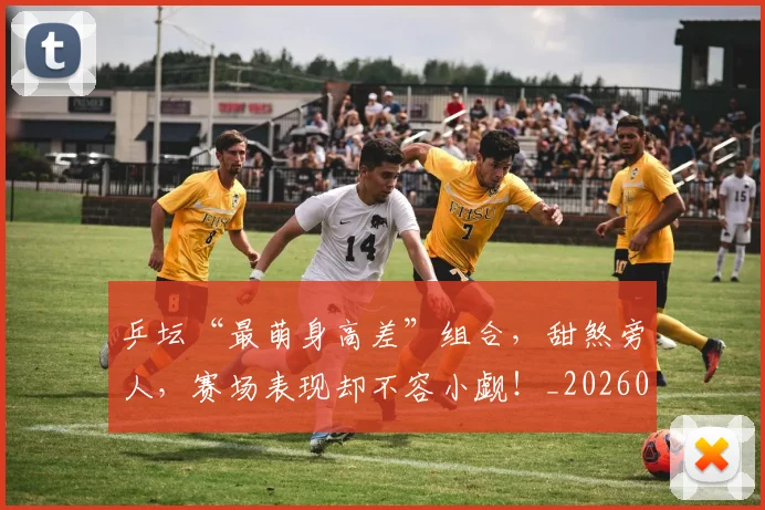 乒坛“最萌身高差”组合，甜煞旁人，赛场表现却不容小觑！_20260703212314